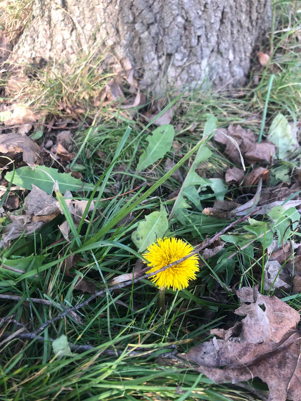 О погоде на 9 января. В Краснодарском крае облачно О погоде на 9 января. В Краснодарском крае облачно