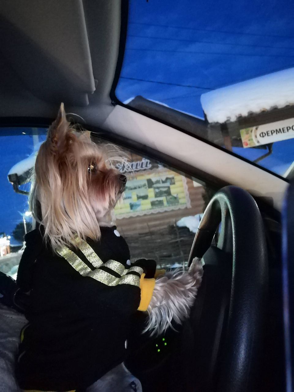 О погоде на 9 января. В Краснодарском крае облачно О погоде на 9 января. В Краснодарском крае облачно