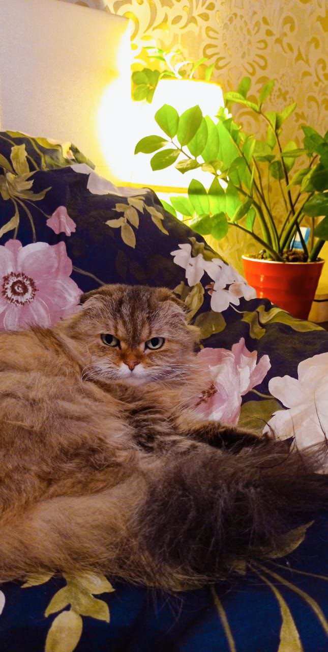 О погоде на 9 января. В Краснодарском крае облачно О погоде на 9 января. В Краснодарском крае облачно