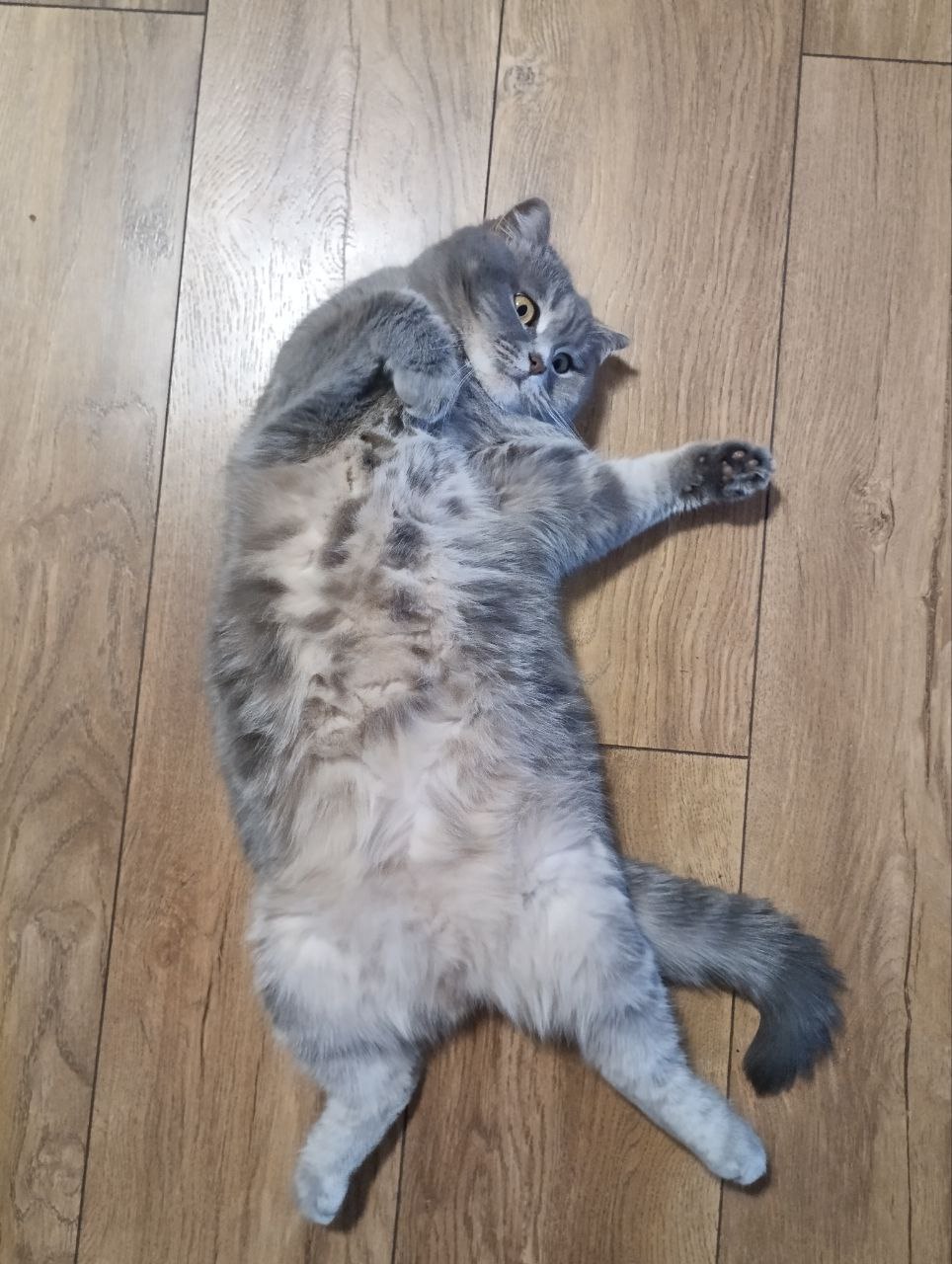 О погоде на 9 января. В Краснодарском крае облачно О погоде на 9 января. В Краснодарском крае облачно