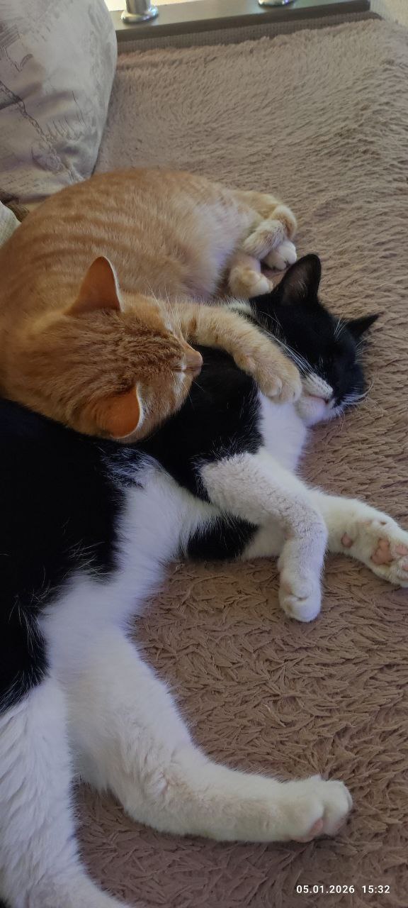 О погоде на 9 января. В Краснодарском крае облачно О погоде на 9 января. В Краснодарском крае облачно