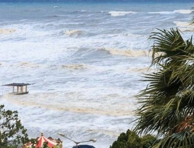 ���� ��������� ��������� ������