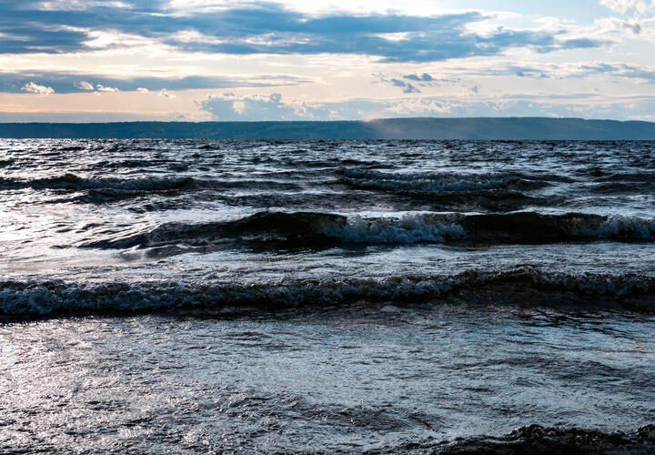 ������ ����� ��������� � �����������: ������������ ��������� ������ ����� �� ������ ������