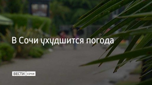 12 � 13 ������ � ���� � �� ����������� ���������� ������ ��������� ������� ����� � �������, ������� ����� ������� � ����