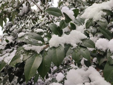 � ���� �������������� ��������� ������