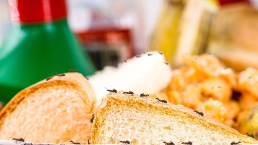 ���� �� ����� � �������: ��� ������� �������� �������� ������� �������� �� ����� ��������