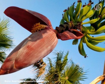 � ���� ������ ��������� ������ ������� ������ �������, ���������� � ������ ������������������ �����������