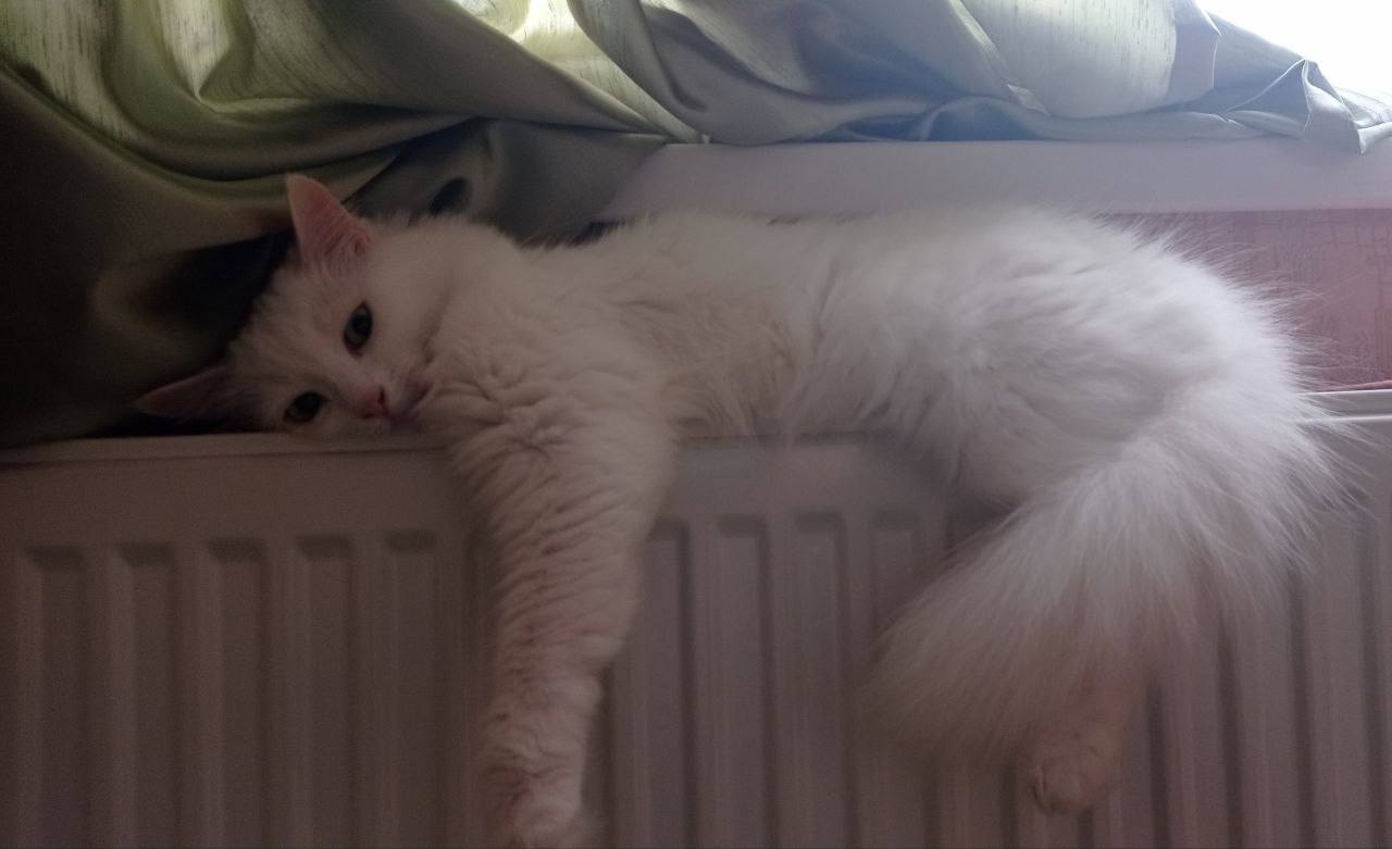 О погоде на 13 января. В Краснодарском крае облачно