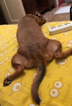 ������ ����, ������!. ��������� -4 ��