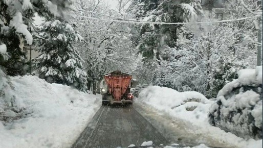 Глава Сочи Андрей Прошунин: «На уборке снега в городе задействовали свыше 260 человек и почти 150 единиц спецтехники»