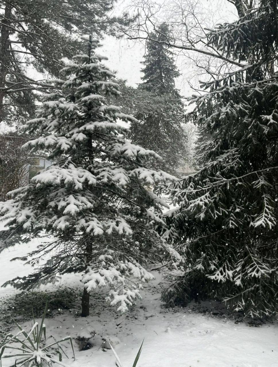 О погоде на 13 января. В Краснодарском крае облачно О погоде на 13 января. В Краснодарском крае облачно