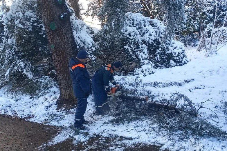 Глава Сочи Андрей Прошунин: «На ночной расчистке дорог от снега задействовали 227 единиц техники и почти 450 дорожных рабочих» Глава Сочи Андрей Прошунин: «На ночной расчистке дорог от снега задействовали 227 единиц техники и почти 450 дорожных рабочих»