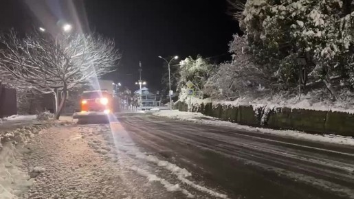 ������ ��������: ���������� ������������ � ���� �������������, ������� ����������� ��������