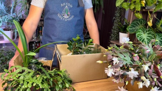 ��������� �����: ��� ������ ���� �������� ���� ����� ������� ������