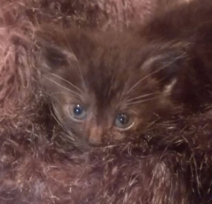 ������ ����, ������!. ��������� -4 ��