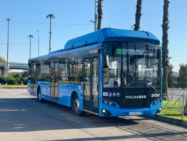 ������ ����!. �����