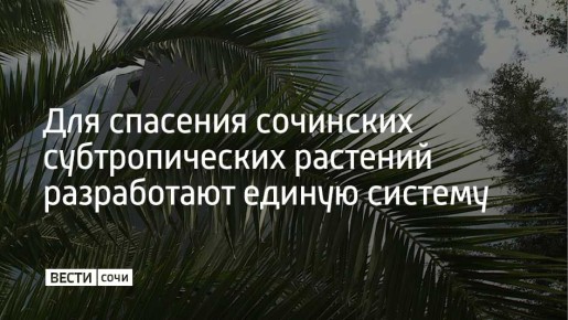 ������������ �������� ������� �� ��������, ��������� �������� � ������ ���������� ����� ������� �������� �������� ������ ����-�������� ������ ������� ��������� � ����������� ���, � ������� ������� � ������� �������������...