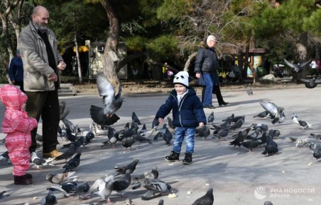 Крым и Севастополь – в лидерах бронирования отелей на январь 2026 года