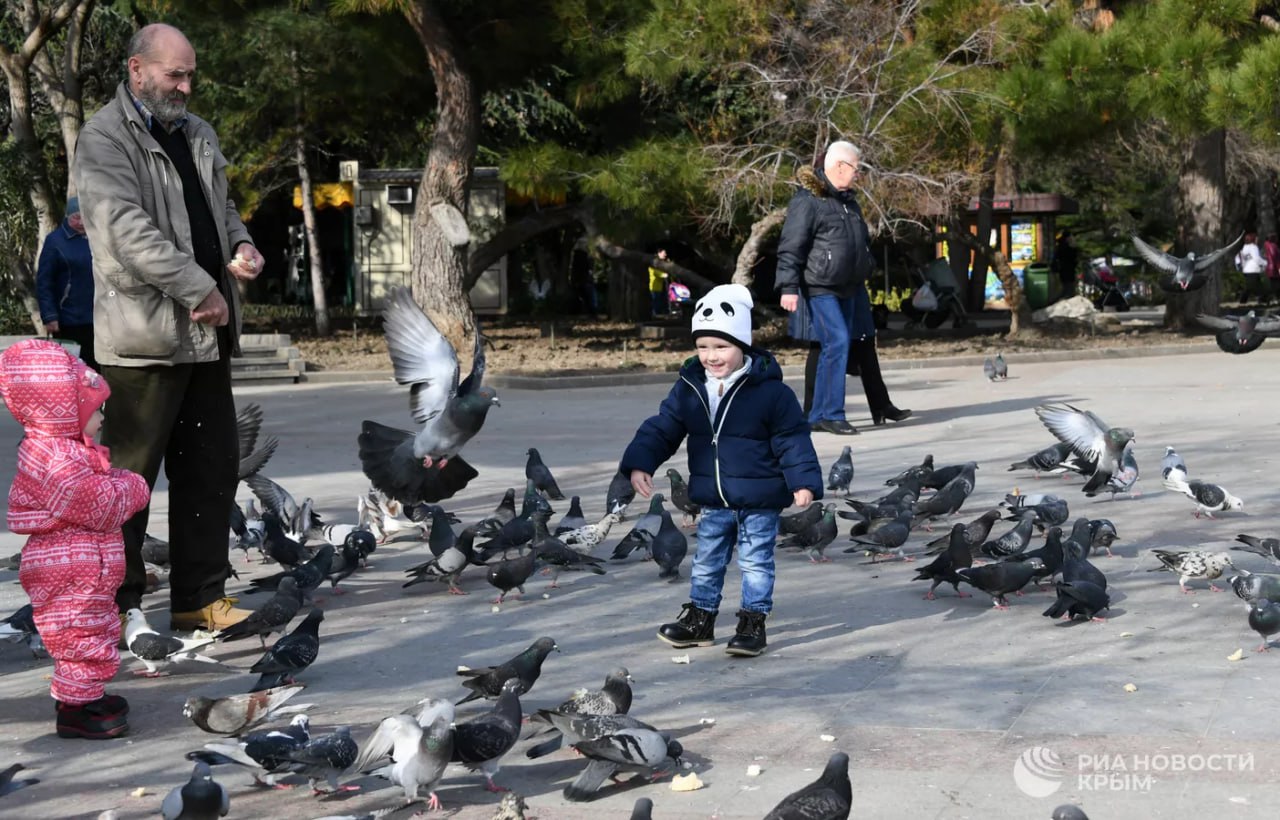 Крым и Севастополь – в лидерах бронирования отелей на январь 2026 года