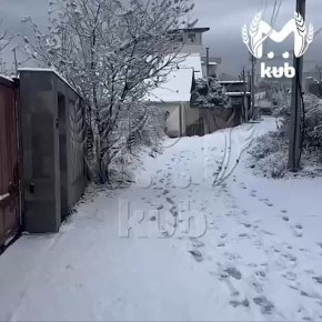 Школьные автобусы не смогли довезти детей к первому уроку из-за снегопада в Сочи