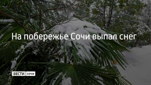 ����� 15 ������ �� ��������� ���� ����� ����