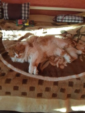 ������ ����, ������!. ��������� +3 ��