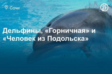 ���� ������� � ���� 16, 17 � 18 ������