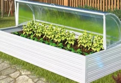 ��� �������� ������ �� ����� � ����: ������� ������� ��� ��������