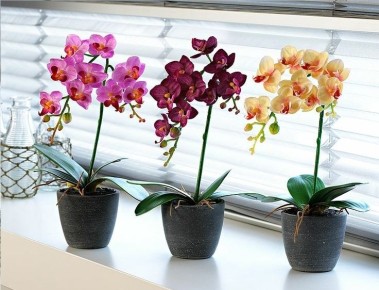 ��� ������ �������: ������ �� �������������� �������� � �������� �������