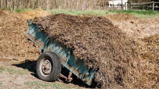 ��� ����� ������� ������ ������ � ��������� ����� � �������� ������