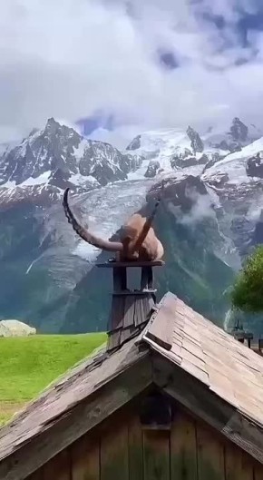 ������ ����������: ������ ������� �1 � ������� ������ ������� �������