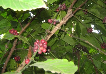 �������� �������: ��������� ����� �� �����������