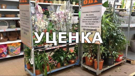 ������� ��������� �������� ������: ��� ������������� ����� ���������� ����������