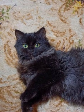 � ������ �� 21 ������. � ������������� ���� ���������� ����������