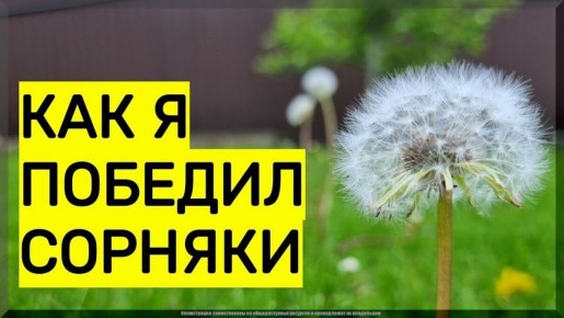 ����������� ������� ��� ���������� �� ��������