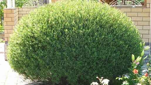 ���������� ��� ������� ���������: 6 ������������� ���������