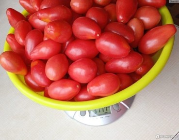 ����� ����������: ��� �������� ��������� ����� ��� ��������� � �������