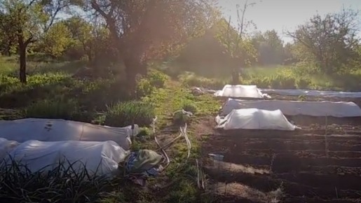 10 �������� ������ ���� �� ���������� ����������