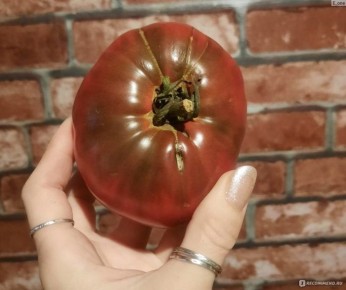 ����� ����������� ����: ��� �������� ������� � �������� �����