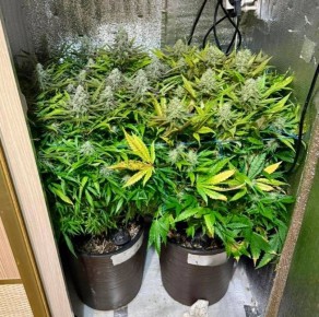 ��������� ������������ �������� ���������� ��������������