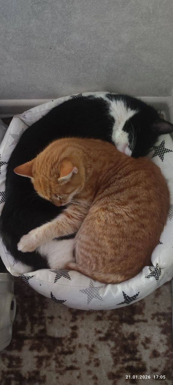 О погоде на 23 января. В Краснодарском крае облачно О погоде на 23 января. В Краснодарском крае облачно