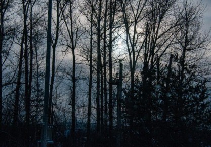 �������� � ������������� ���� ��������� ����������