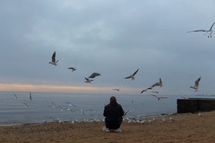 � ���� ������� ������ ����� � �������� ���� ���� �����������