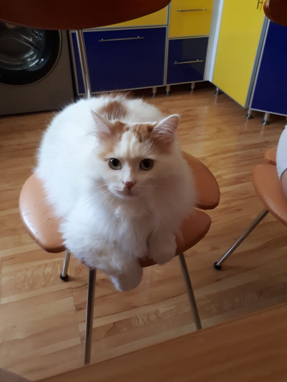 О погоде на 26 января. В Краснодарском крае облачно О погоде на 26 января. В Краснодарском крае облачно