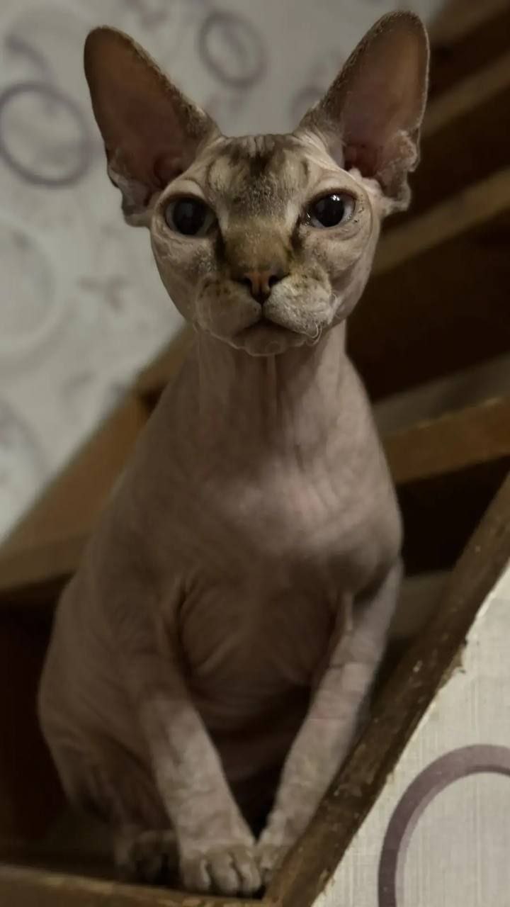 О погоде на 26 января. В Краснодарском крае облачно О погоде на 26 января. В Краснодарском крае облачно