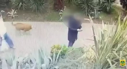 ������� ���� �� ������� ������ �������� ����� �������� � �������