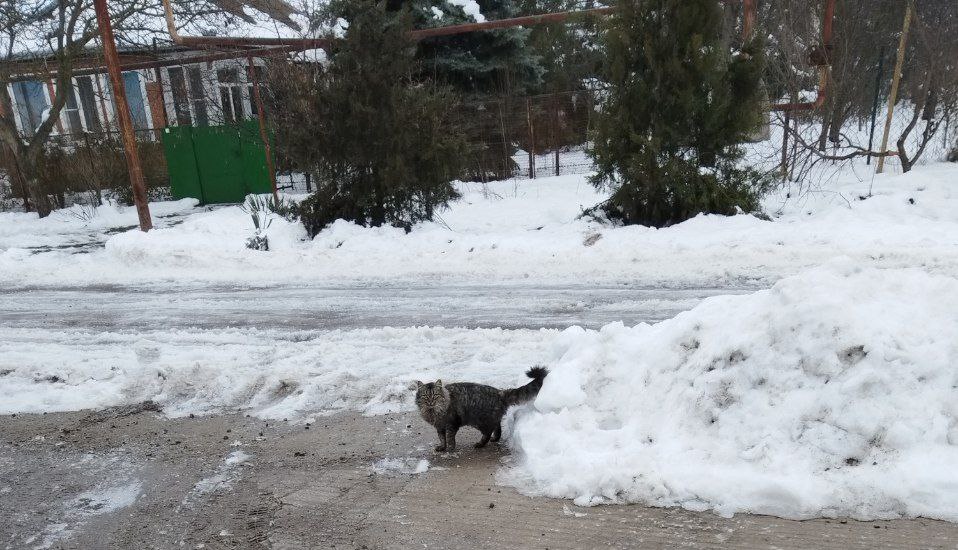 О погоде на 26 января. В Краснодарском крае облачно О погоде на 26 января. В Краснодарском крае облачно