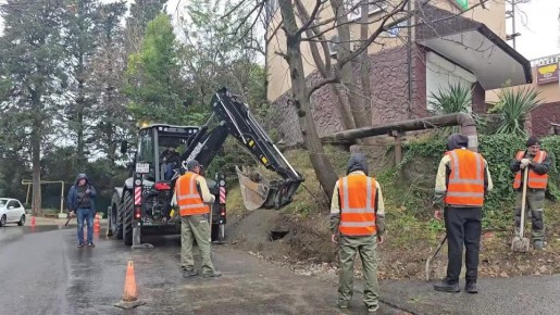 ������������ ������ �� �������������� �����