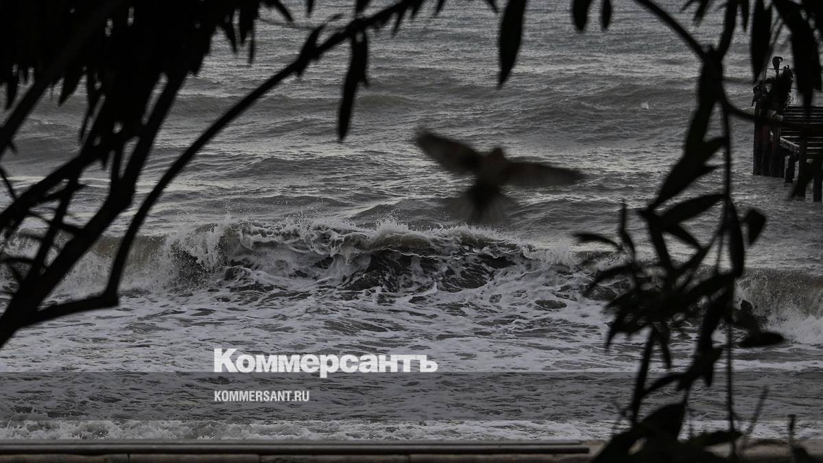 У побережья Сочи прогнозируется четырехбалльный шторм с волнами до 1,5 м
