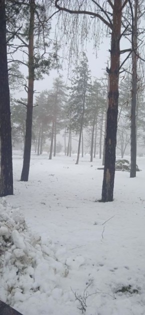 О погоде на 26 января. В Краснодарском крае облачно